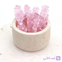 نبات شاخه گل محمدی 1 کیلویی