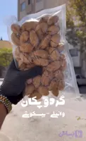گردو پکان وانیلی-خارجی ( گردو پیکان-گردو پیکن) 1 کیلویی (کد LH9L5)