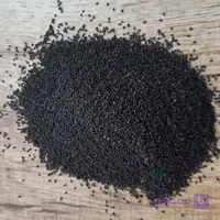 تخم خرفه 1 کیلویی