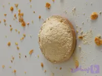 پودر سیر