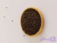 دانه فلفل سیاه
