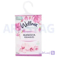 پودر خوشبو کننده ولناکس Wellnax اسانس لاوندر وزن 21 گرمی