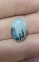 نگین عقیق شجر قائن، کد ۲۲۸