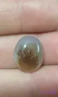 نگین عقیق شجر قائن، کد ۲۲۳