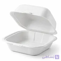 ظرف همبرگرخوری درب دار گیاهی یکبارمصرف