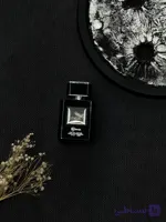 ادکلن ادو پرفیوم مردانه بایلندو مدل اونتوس AVENTOSO رایحه تلخ و خنک حجم 100 میلی لیتر