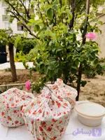 خورشت قیمه بادمجان و سیب‌زمینی خانگی بی‌بی‌گل(پخت روز در قابلمه روحی)