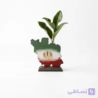 گلدان چوبی طرح نقشه ایران