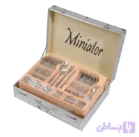 سرویس قاشق و چنگال ۲۴ نفره مینیاتور