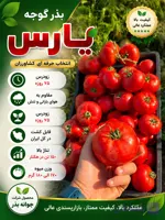 بذر گوجه فرنگی یارس