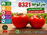 بذر گوجه 8321