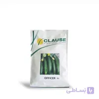 بذر خیار آفیسر