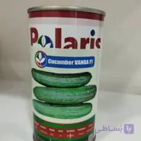 بذر خیار واندا