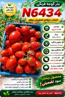 بذر گوجه فرنگی جلگه