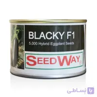 بذر بادمجان بلکی