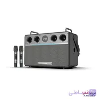 اسپیکر بلوتوثی 160 وات دبلیو کینگ همراه با 2 میکروفن مدل W-King T16L
