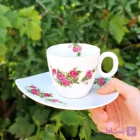 فنجان نعلبکی گلسرخی-بن چاینا تکی-طرح سیاهکل