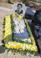 قاب گل دور مزار جوان طرح داوودی زرد و سفید کد ۱۱۶۰ | گل‌آرایی سنگ قبر تخت با گوی گل