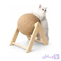 اسکرچر گربه مدل سی ۲۱