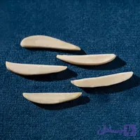خلال بادام درختی تکدانه