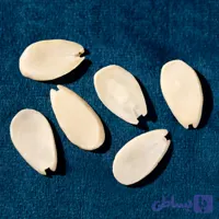 پرک بادام درختی زاویه