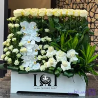 باکس گل طبیعی رز و ارکیده BL222