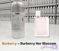 عطر باربری هر بلوسوم_شرکت لوزی گرید hi