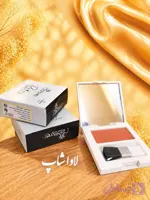 پالت رژگونه پودری آلستر (کارتن نقره ای)