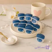 بالم  لب مینی