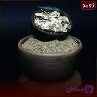 گلپر درشت (کد 9CSN3)