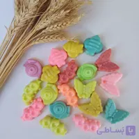 صابون حشرات