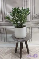 یشم