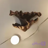شلف دیواری دکوراتیو مدل قارچ ارگانیک