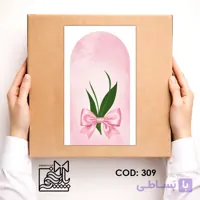 کارت گیفت پاپیون صورتی