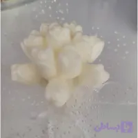 گیفت دسته گل لاله