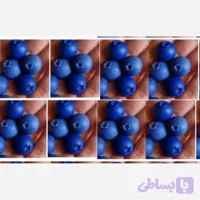 قالب سیلیکونی بولوبری