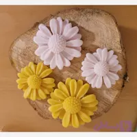قالب سیلیکونی گل بابونه ۲تایی (مارگاربت)۵سانت