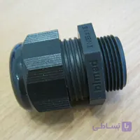 گلند