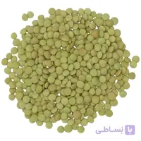 عدس درشت کانادا