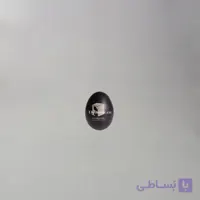 شیکر تخم مرغی رنگی
