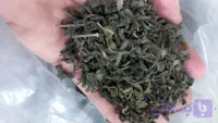 چای سبز