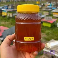 عسل کوهستان