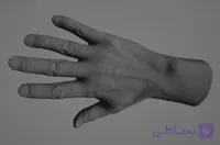 دانلود مدل سه بعدی اسکلت انسان (همراه با تسکچر)