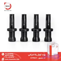 بوت کوئل رانا شرکتی