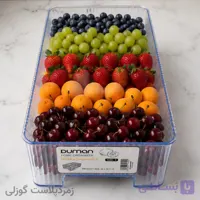 نظم دهنده یخچال دومان