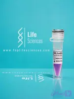 DNA size marker (Ladder) 100 bp برند ایزی ژن