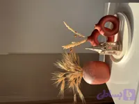 ست دکوری دستساز رنسام مدل آوا