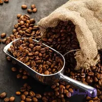۱۰۰ درصد عربیکا اندونزی