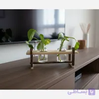 استند مدل ریشه