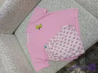 تیشرت شرتک دایناسوری